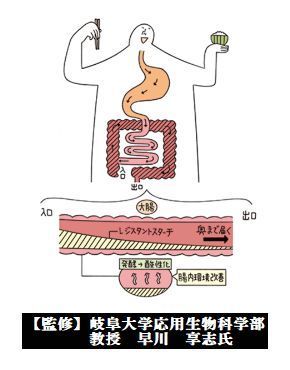 お米4.jpg