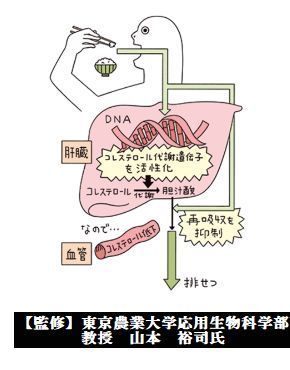 お米3.jpg