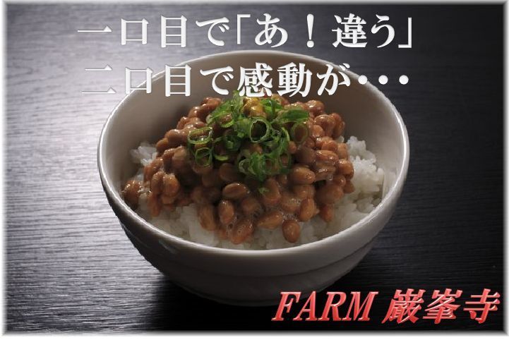 納豆ご飯.jpg