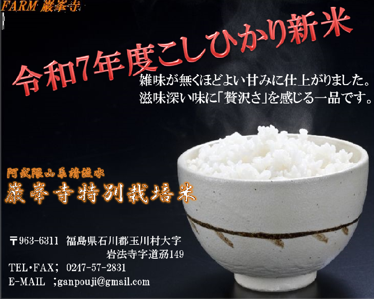 R3年度新米.jpg