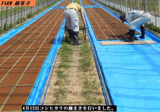 野木源さんの「特選丹後コシヒカリ」